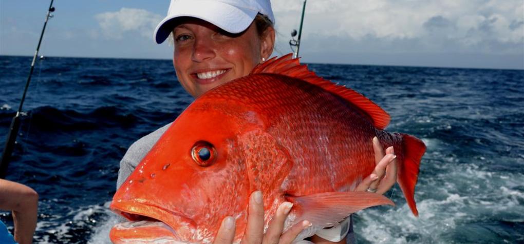  Orange Beach Fishing Charters Family Deep Sea Fishing in 