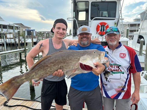 Gag grouper caught during a longer Orange Beach offshore fishing trip
